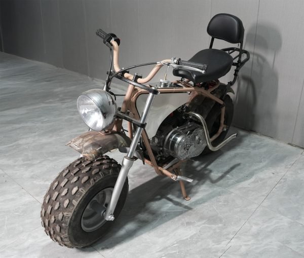 Backrest Cargo Rack for Coleman CT200UEX Mini bike 196cc, Adjustable Sissy Bar for Axis M200 Viper Hisun 200-3 200cc Trail bike Cushion Luggage parts - Image 4