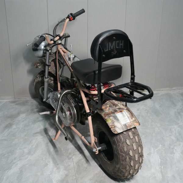 Backrest Cargo Rack for Coleman CT200UEX Mini bike 196cc, Adjustable Sissy Bar for Axis M200 Viper Hisun 200-3 200cc Trail bike Cushion Luggage parts - Image 8